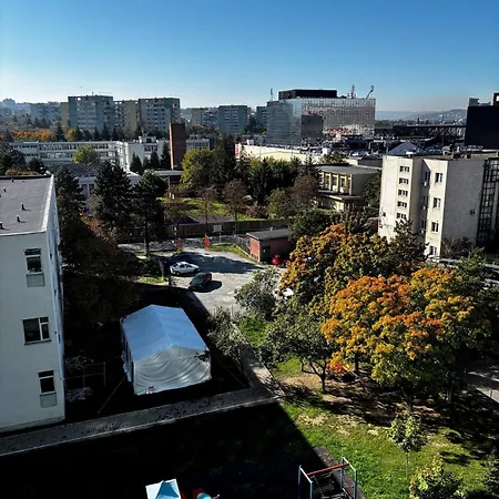 Viva La Vida By Iulius Mall Apartment